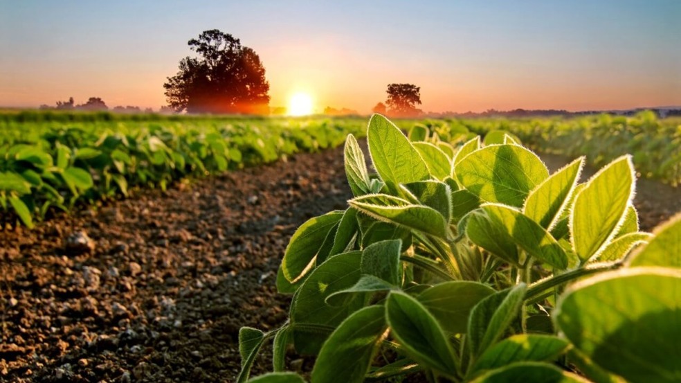 Exportações agrícolas batem recorde impulsionadas pela demanda internacional Exportações agrícolas batem recorde impulsionadas pela demanda internacional